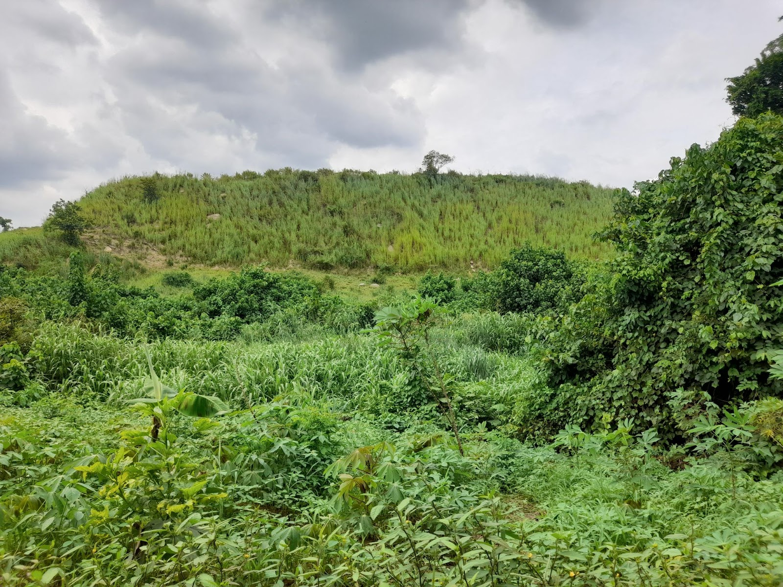 RCC’s ‘Flying Rocks still torment residents of Orile Ogunmakin community in Ogun State