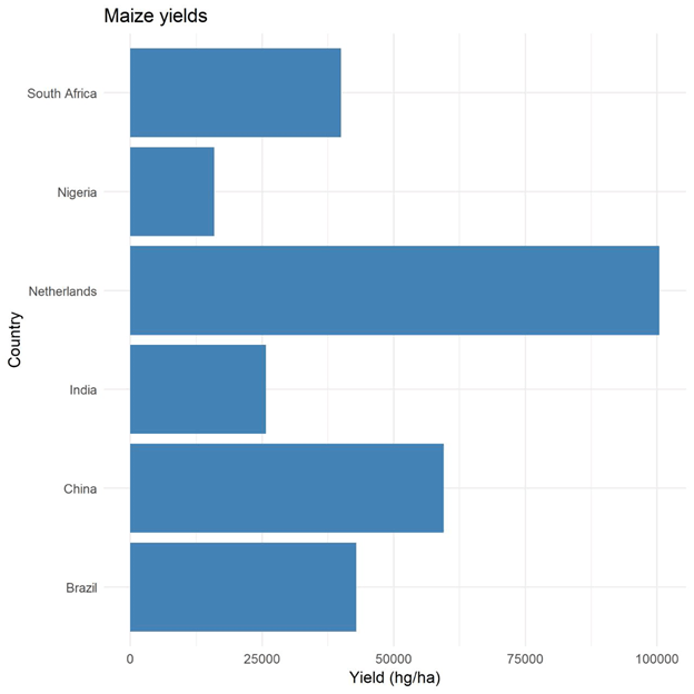 Maize Yields