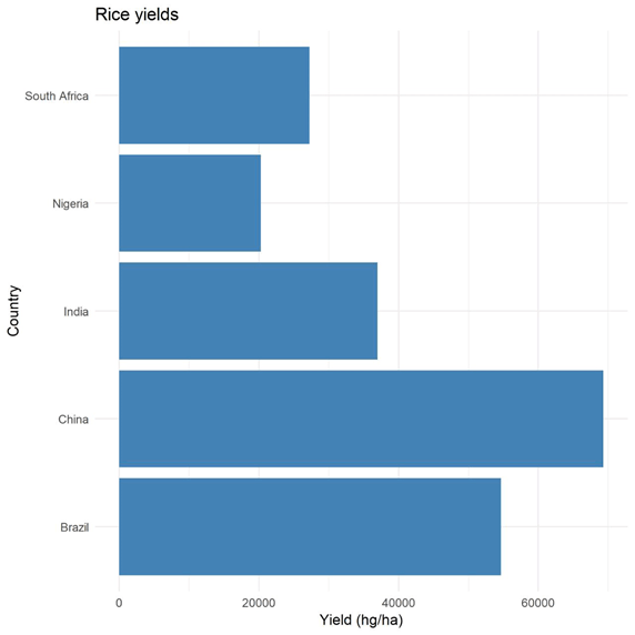 Rice Yields